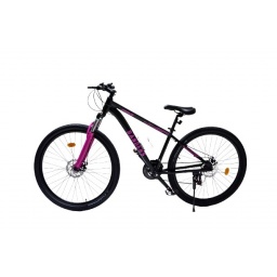 Bicicleta Randers montaa 21V R29 rosa S